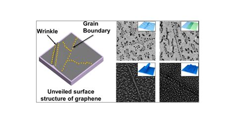 Simultaneous Visualization Of Graphene Grain Boundaries And Wrinkles With Structural Information