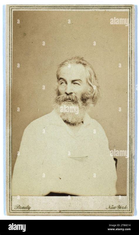 Walt Whitman Half Length Portrait Seated In Chair Facing Left