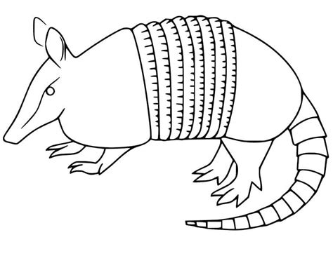 Dibujos De Armadillo Para Colorear E Imprimir ColoringOnly