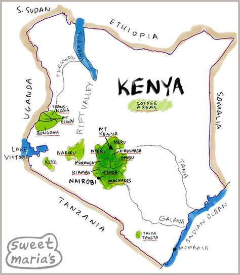 Kenya Coffee Overview Sweet Maria S Coffee Library