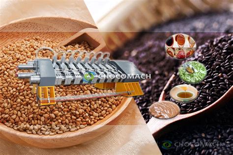 Hydraulic Oil Press Cocoa Butter Press Screw Oil Press Chocomach