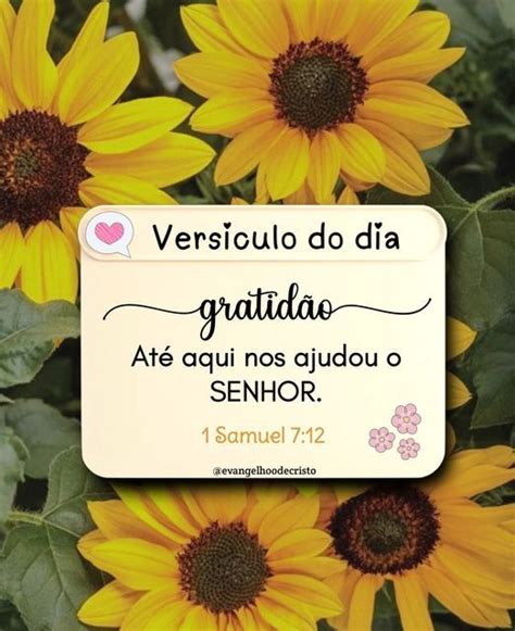 Evangelho de Cristo on Instagram GRATIDÃO Até aqui nos ajudou o