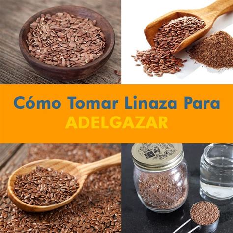 Cómo preparar y tomar la linaza para adelgazar La Guía de las Vitaminas