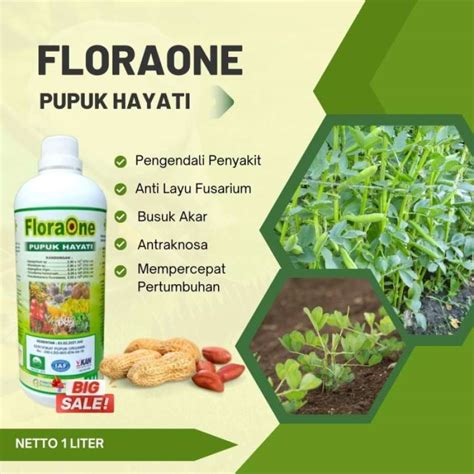 Promo Tricoderma Fungisida Hayati Pupuk Cair Trichoderma Sp Anti Jamur