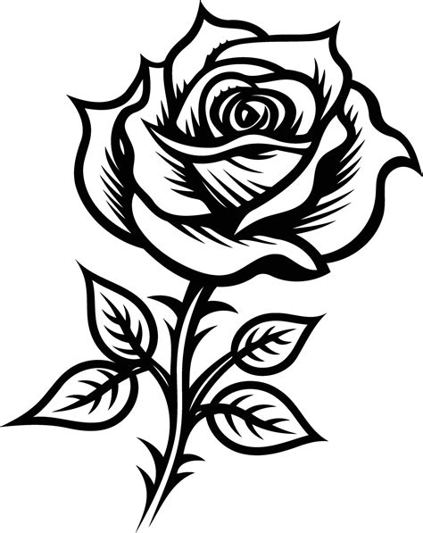 Classic black and white rose illustration perfect for tattoo design ...