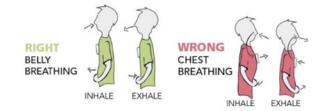 Diaphragmatic Breathing | Lara Physiotherapy