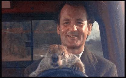 Groundhog Day Driving GIF - Groundhogday Billmurray Groundhogsday ...