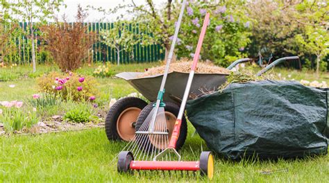 Top Notch Yard Clean Up Near Me In Lansdale