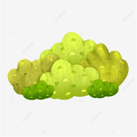 Shrub Illustration Shrub Cartoon Bushes Bush Grass PNG Transparent