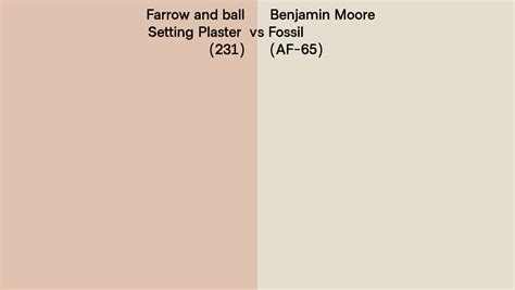 Farrow And Ball Setting Plaster 231 Vs Benjamin Moore Fossil Af 65 Side By Side Comparison