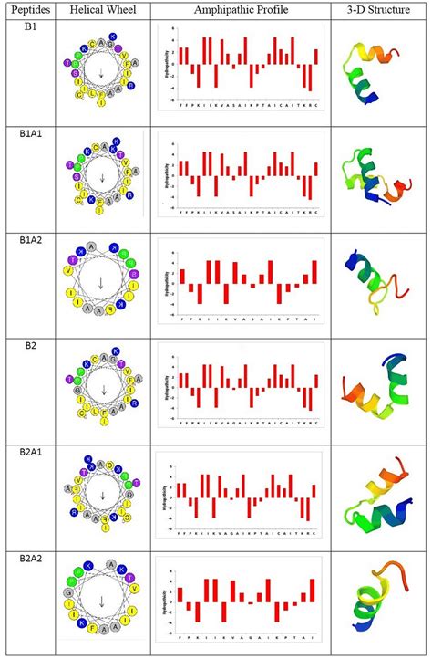 Helical wheel, Amphipathic profile, and 3-D structure of peptides ...