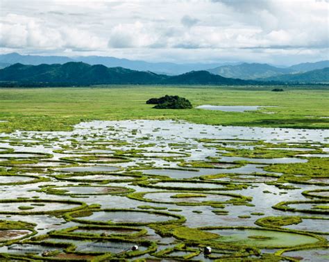 Wetlands Ramsar Sites India