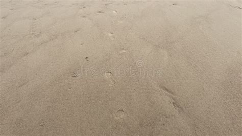 Footprints in the Sand Shoe Print Stock Photo - Image of rock, tile ...