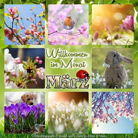 Pin by Gaby Spieltundbastelthier on März Hello march Clip art Four