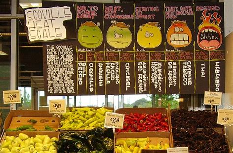 Escala Scoville Wikipedia La Enciclopedia Libre