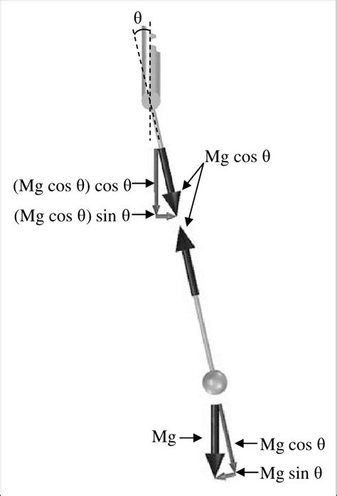 3 -Pendulum force diagram. | Download Scientific Diagram