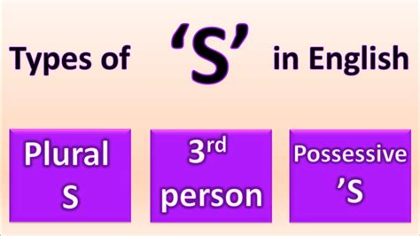 Different Types Of S In English Grammar Plural S Apostrophe S 3rd