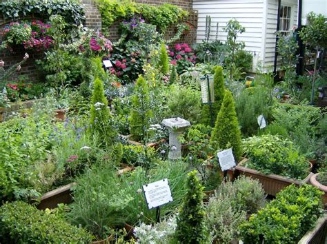 Permaculture Design For Your Backyard Country Green Living