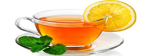 Top 6 Varieties Of Herbal Tea You Must Try