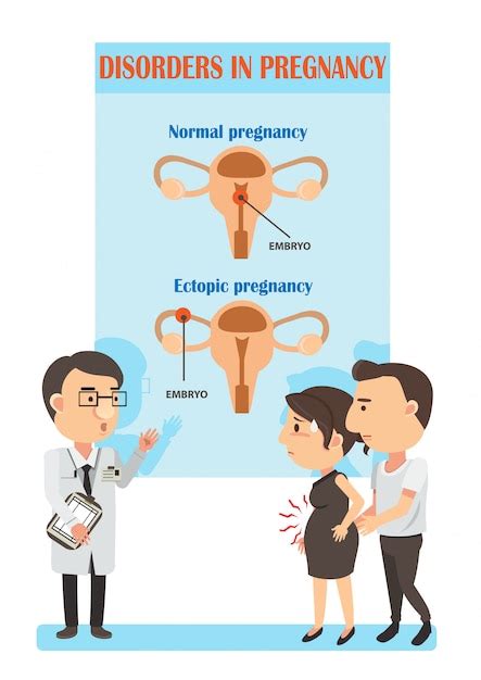 Ilustración de embarazo ectópico y embarazo normal Vector Premium