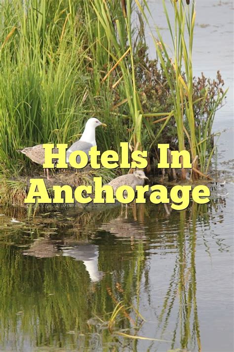 Hotels In Anchorage | by Myeasyhotel | Medium