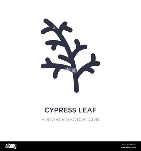 cypress leaf icon on white background. Simple element illustration from ...