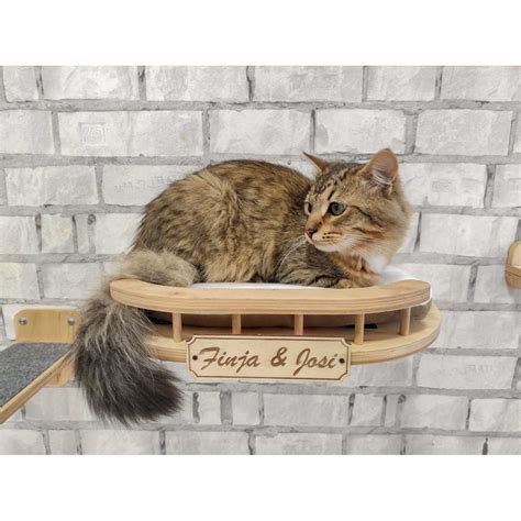 Rounded Front Wooden Cat Wall Shelf Steps Catsplay Superstore