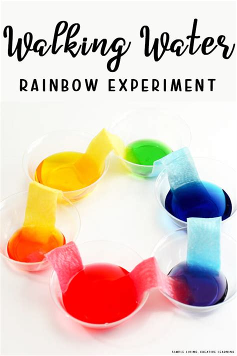 Walking Water Rainbow Experiment - Simple Living. Creative Learning