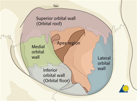 UNIT 22: Orbit Flashcards | Quizlet