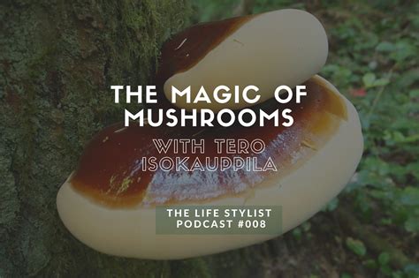 Tero Isokauppila The Magic Of Mushrooms 8 — Luke Storey