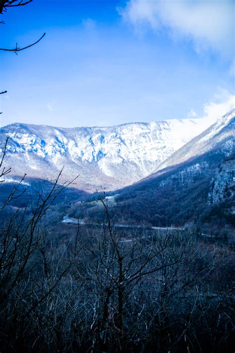 壁纸 摄影 户外 性质 山 树木 森林 科 雪 冬季 景观 1365x2048 Chen232 2237896