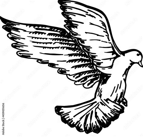 Sketch Of Pigeon Bird Flying Black And White Image Vector Sketch Of A