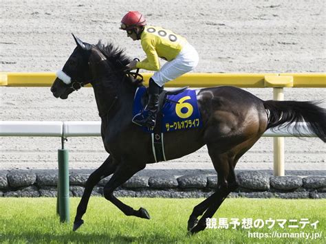 【今週の注目新馬】父は宝塚v馬ジョウショーホープ 2歳一番時計をマーク｜競馬ニュース｜競馬予想のウマニティ