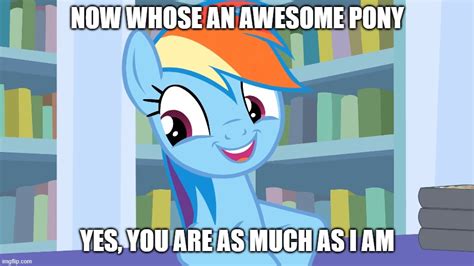 Rainbow Dash meme (3) by ARCGaming91 on DeviantArt