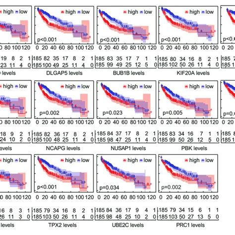 Upset Diagrams Of 12 Topological Algorithms Determined By Functional Download Scientific