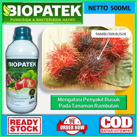 Jual Obat Anti Busuk Tanaman Rambutan Biopatek Obat Cair 500ml