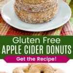 Gluten Free Apple Cider Donuts Cupcakes Kale Chips