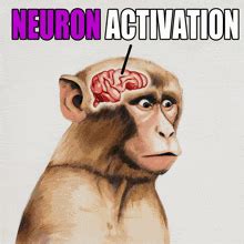 Neuron Activation GIF - Neuron Activation - Discover & Share GIFs