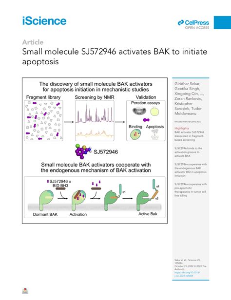 Pdf Small Molecule Sj Activates Bak To Initiate Apoptosis