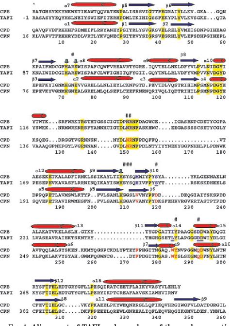 Figure From Mutations In The Substrate Binding Site Of Thrombin