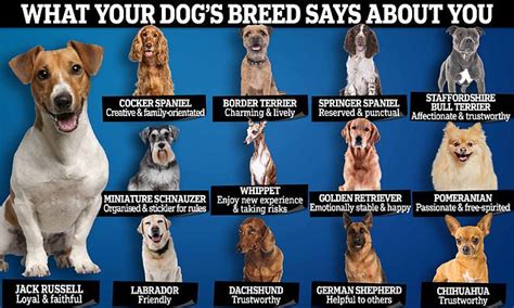 Do Dogs Know Different Breeds