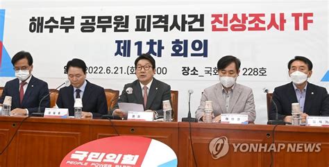 與 서해피격tf 가동월북으로 둔갑 靑회의록 공개해야종합 나무뉴스