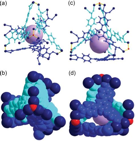 Ball And Stick And Space Filling Models Of Cage B With A PseudoC 3