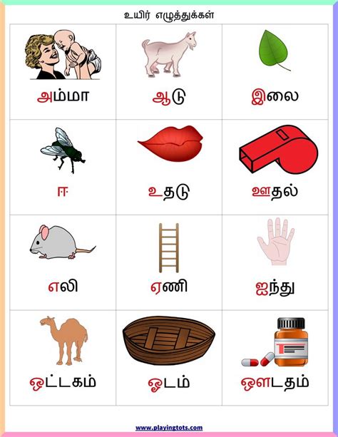 உயிர் எழுத்துக்கள் Chart Keywords Tamil Free Printable Chart Alphabets Vowels