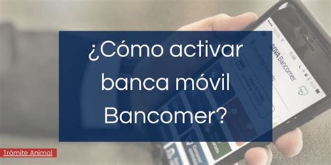 Cómo Depositar Un Cheque En Cajero Bancomer En 2021