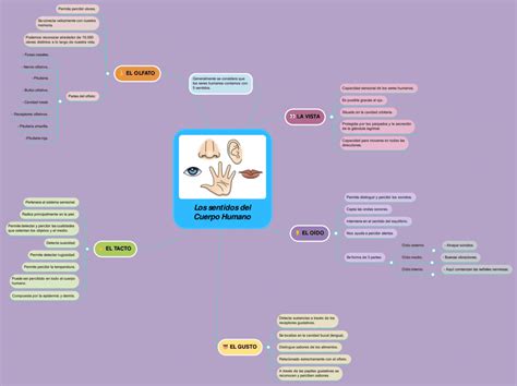 Arriba Imagen Mapa Mental Del Tacto Abzlocal Mx