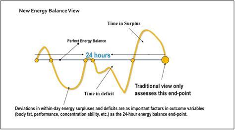 What Is Within Day Energy Deficit Laptrinhx News