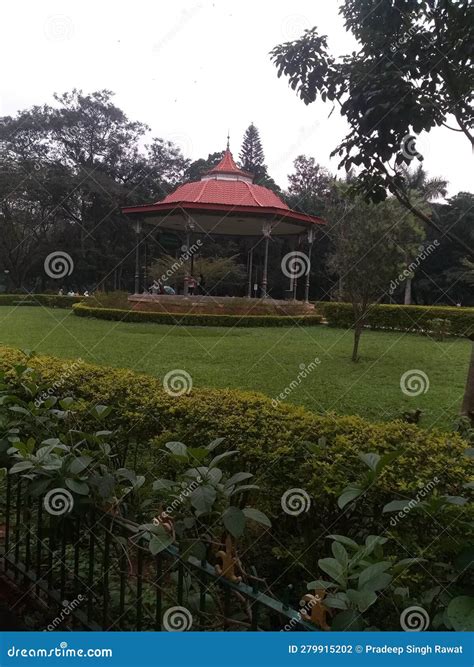 Beautiful Picture at Lal Bagh Bengaluru, Greenery Beautiful Ever Stock