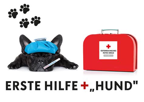 Erste Hilfe für den Hund 4h Rotes Kreuz Innsbruck