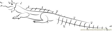 Orange Alligator Dot To Dot Printable Worksheet Connect The Dots